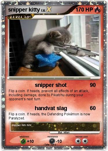 Pokemon snipper kitty