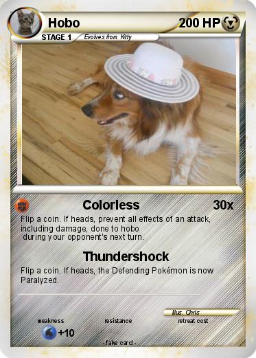 Pokemon Hobo