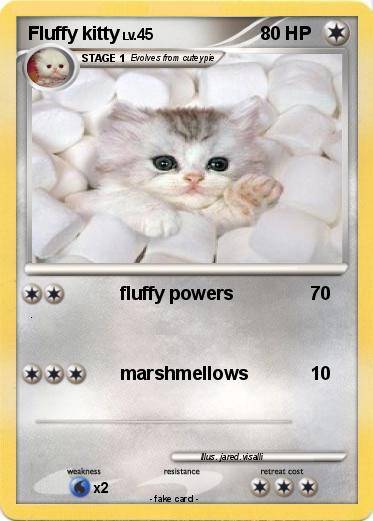 Pokemon Fluffy kitty