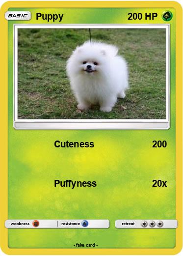 Pokemon Puppy