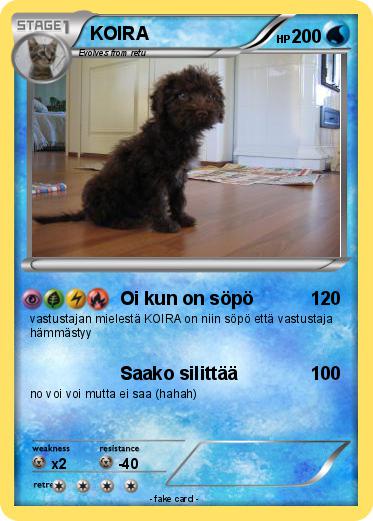Pokemon KOIRA