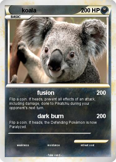 Pokemon koala
