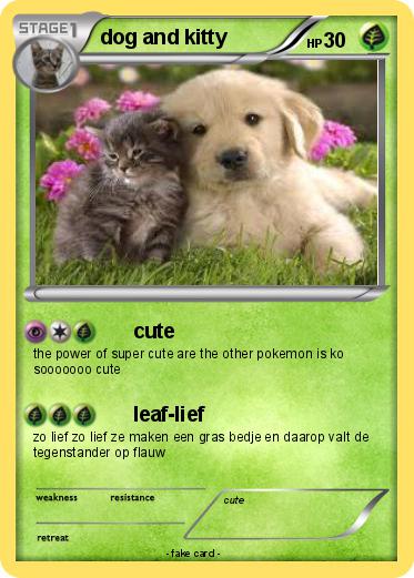 Pokemon dog and kitty
