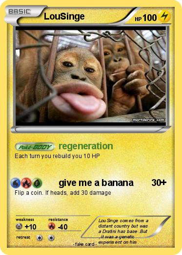 Pokemon LouSinge