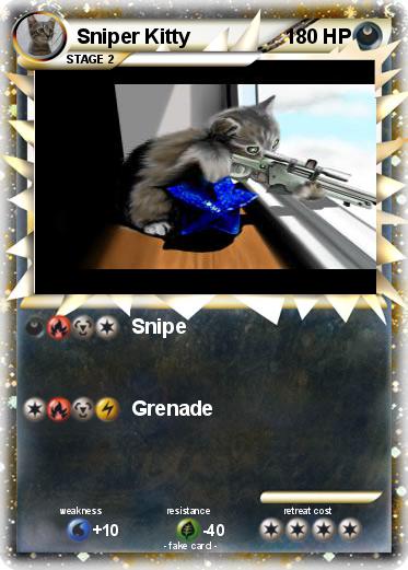 Pokemon Sniper Kitty