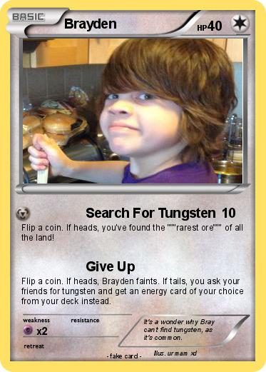 Pokemon Brayden