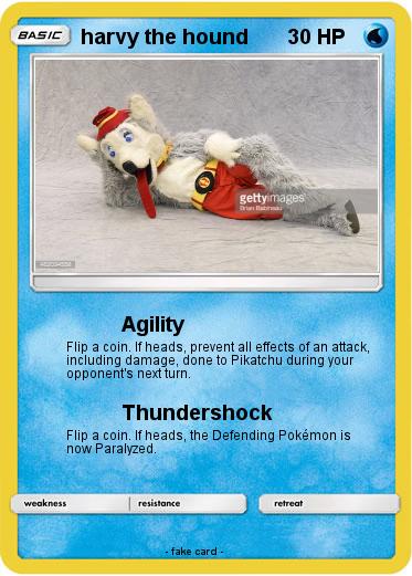 Pokemon harvy the hound