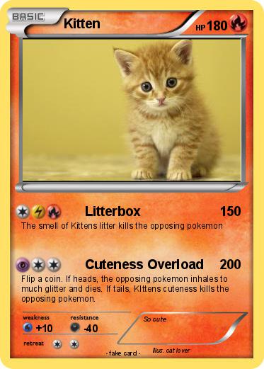 Pokemon Kitten