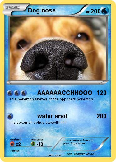 Pokemon Dog nose