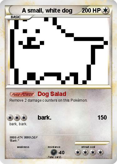 Pokemon A small, white dog