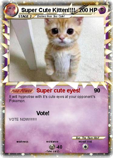 Pokemon Super Cute Kitten!!!!