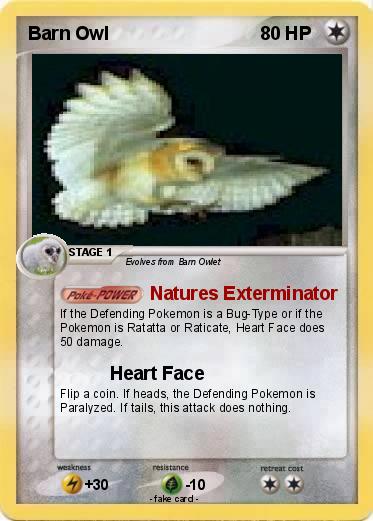 Pokemon Barn Owl