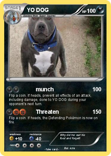 Pokemon YO DOG