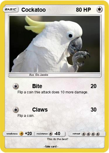 Pokemon Cockatoo