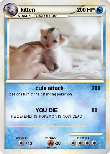Pokemon kitten