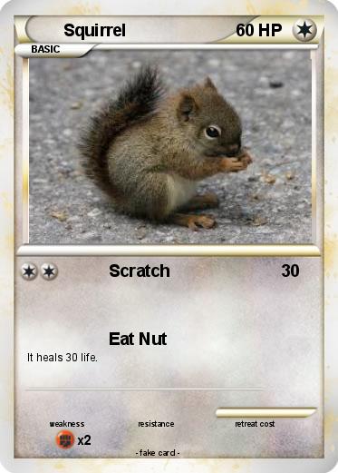 Pokemon Squirrel