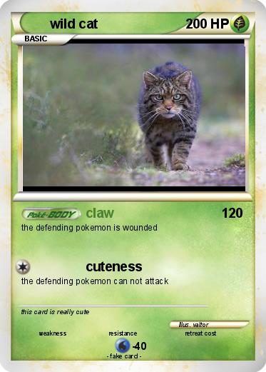 Pokemon wild cat