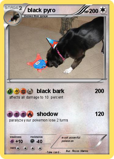 Pokemon black pyro