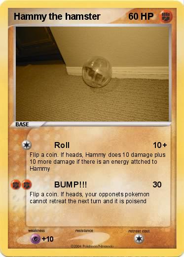 Pokemon Hammy the hamster