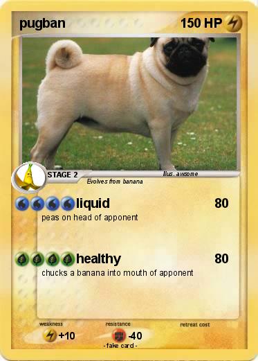 Pokemon pugban