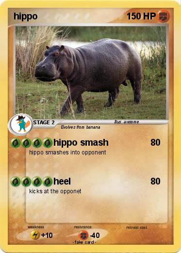 Pokemon hippo