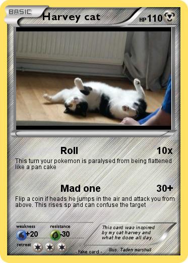 Pokemon Harvey cat