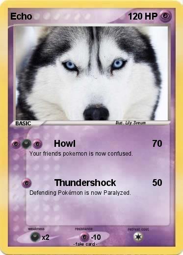 Pokemon Echo