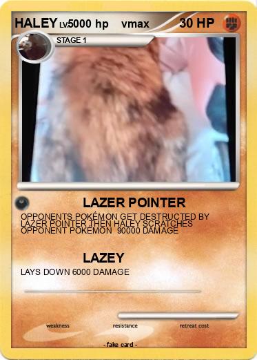 Pokemon HALEY