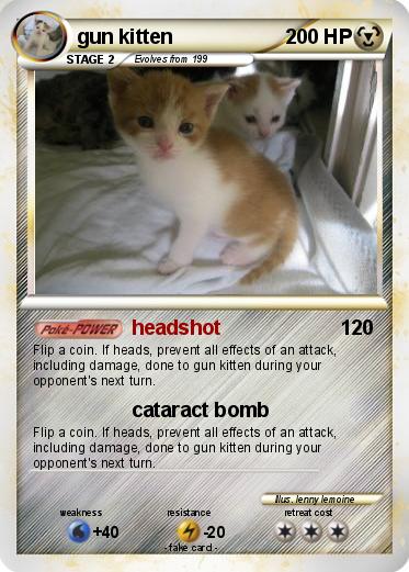 Pokemon gun kitten