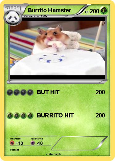 Pokemon Burrito Hamster