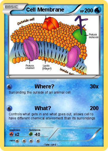 Pokemon Cell Membrane