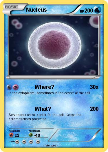 Pokemon Nucleus