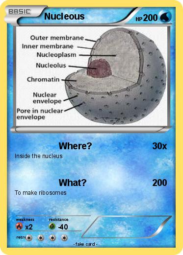Pokemon Nucleous
