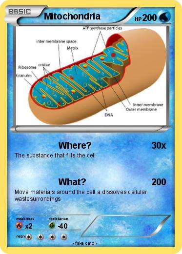 Pokemon Mitochondria