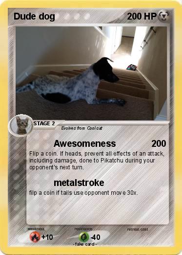 Pokemon Dude dog