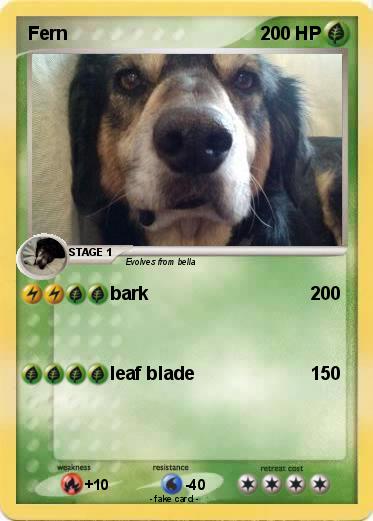Pokemon Fern