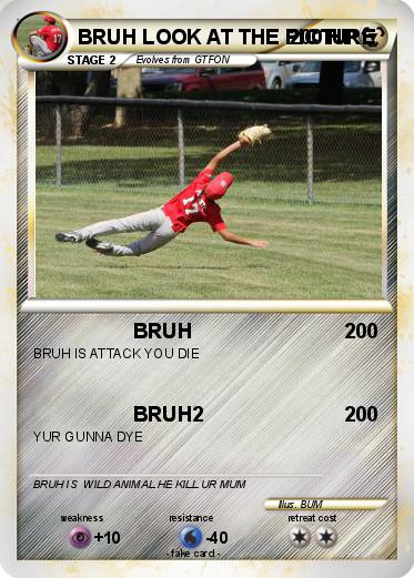 Pokemon BRUH LOOK AT THE PICTURE