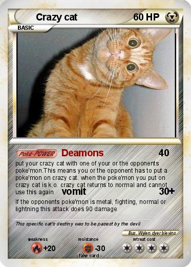 Pokemon Crazy cat