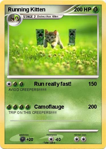 Pokemon Running Kitten