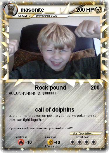 Pokemon masonite