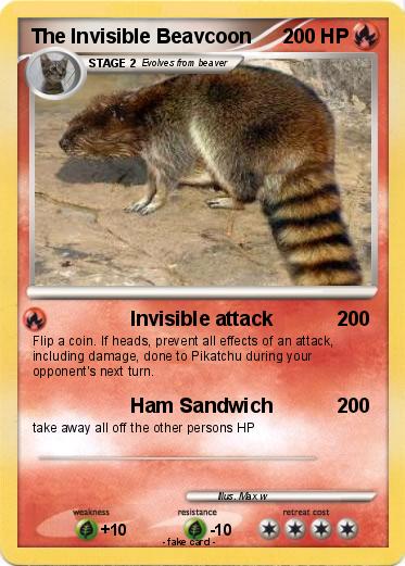 Pokemon The Invisible Beavcoon