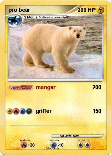 Pokemon pro bear
