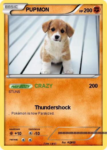 Pokemon PUPMON