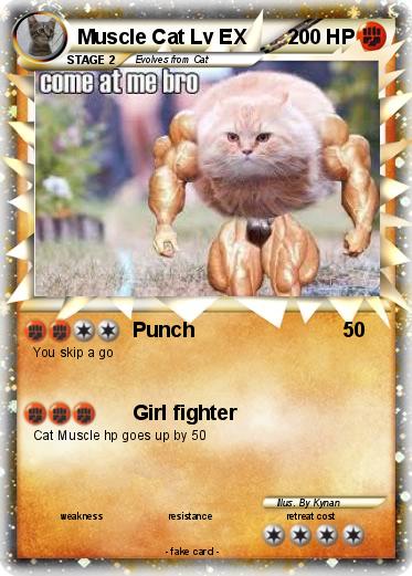 Pokemon Muscle Cat Lv EX