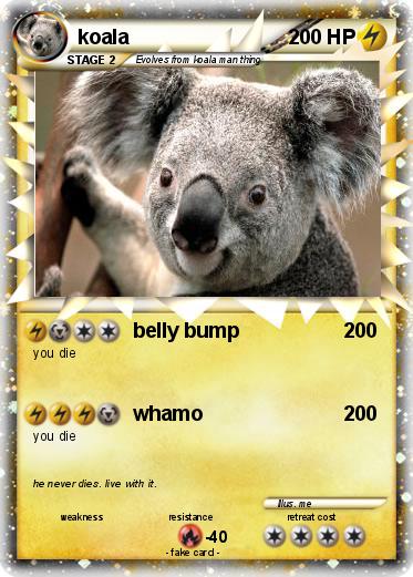Pokemon koala