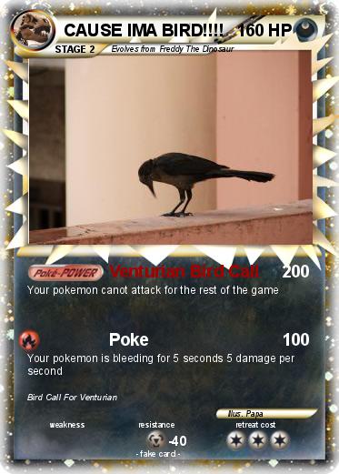 Pokemon CAUSE IMA BIRD!!!!