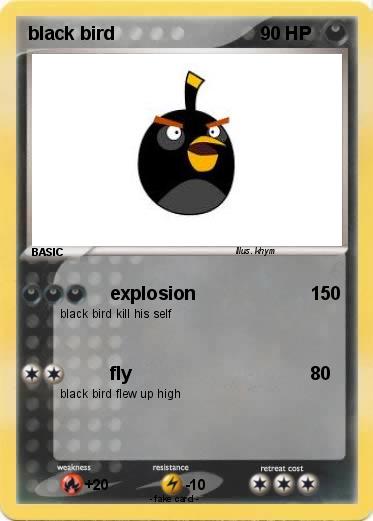Pokemon black bird