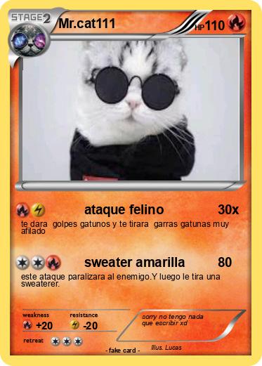 Pokemon Mr.cat111
