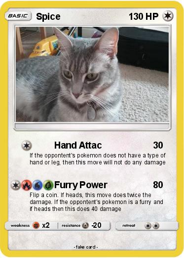Pokemon Spice