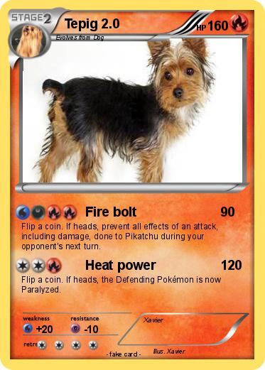 Pokemon Tepig 2.0
